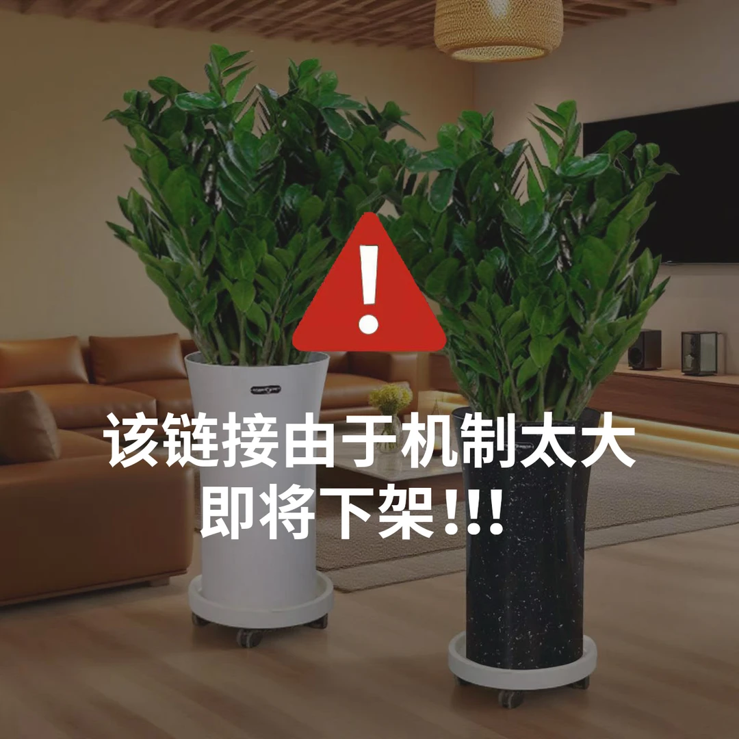 1.2-1.4米落地款金钱树好养美观带盆室内绿植顺丰送货上门