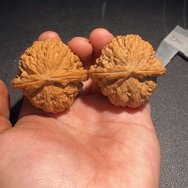 手串/手链核桃42白狮子。
