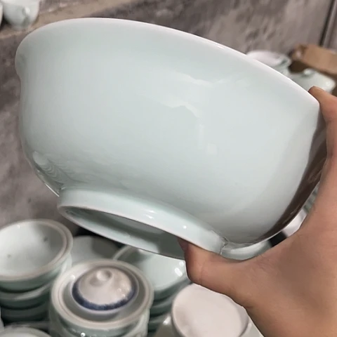 其他瓷8寸碗一个陶瓷