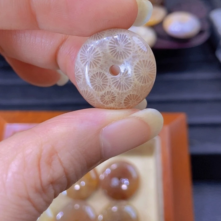 硅化珊瑚（珊瑚玉）未镶嵌颈饰*️****