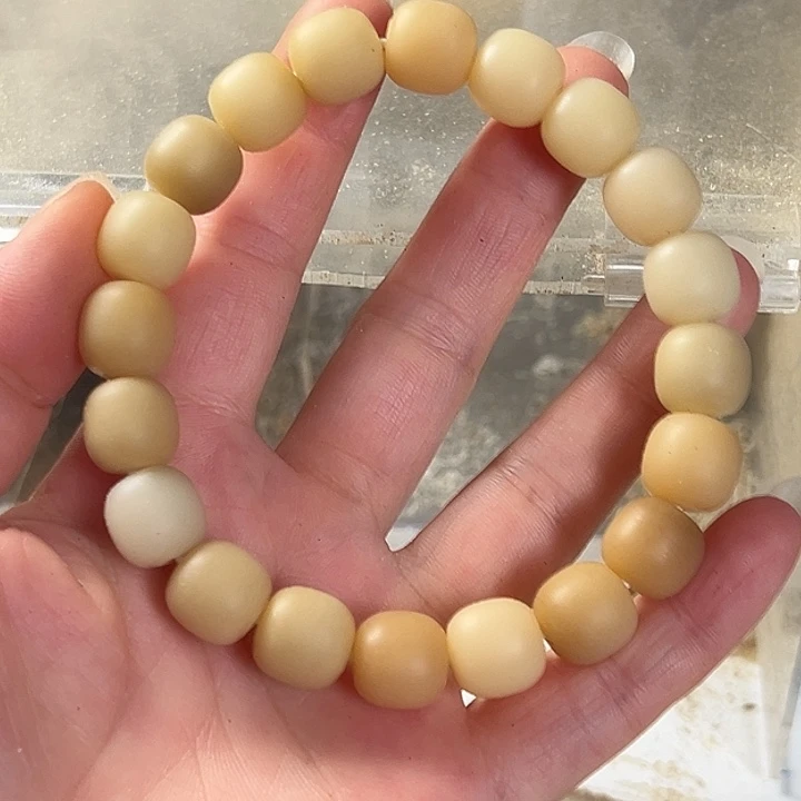 手串菩提根/象牙果