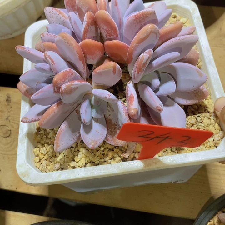这么多钱干了些哪家人
