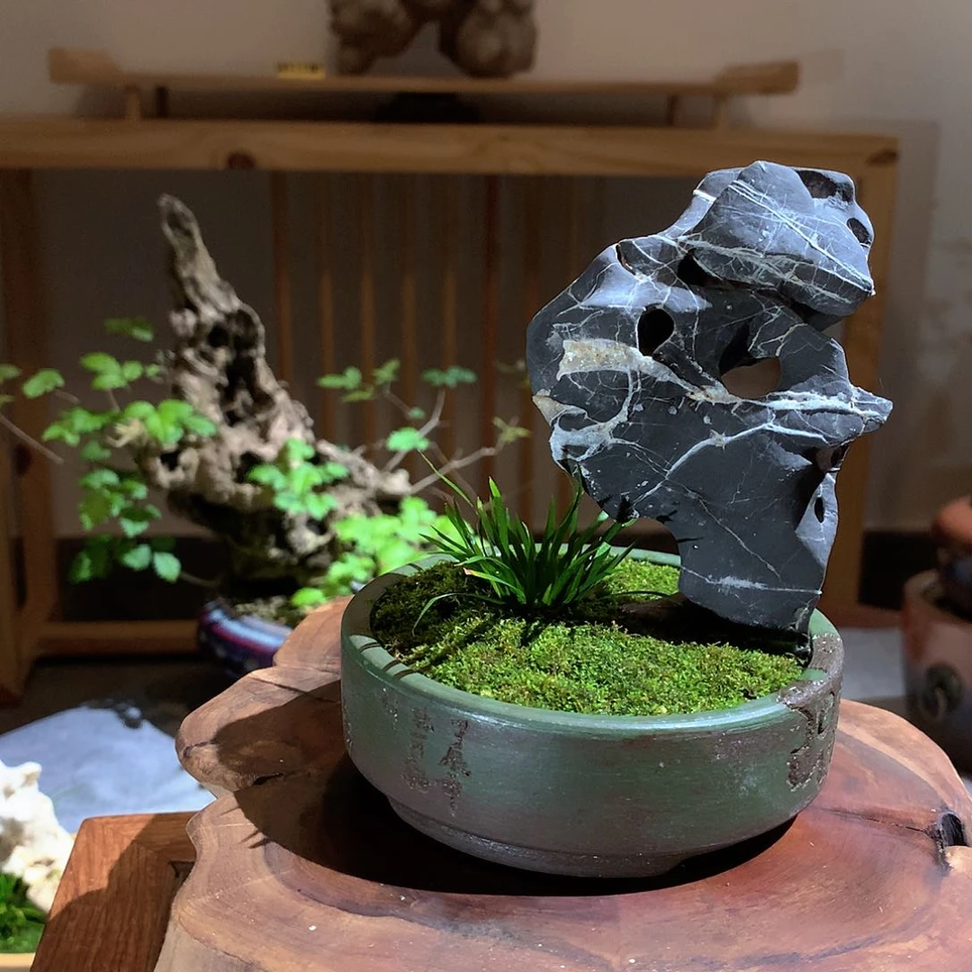 无花朵兴*菖蒲奇石峥嵘苍穹下尽