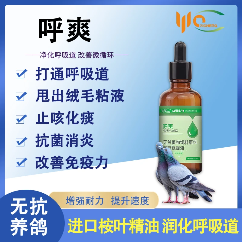 益橙呼爽鸽水剂肉鸽赛鸽种鸽呼吸道禽类使用产品养禽常备