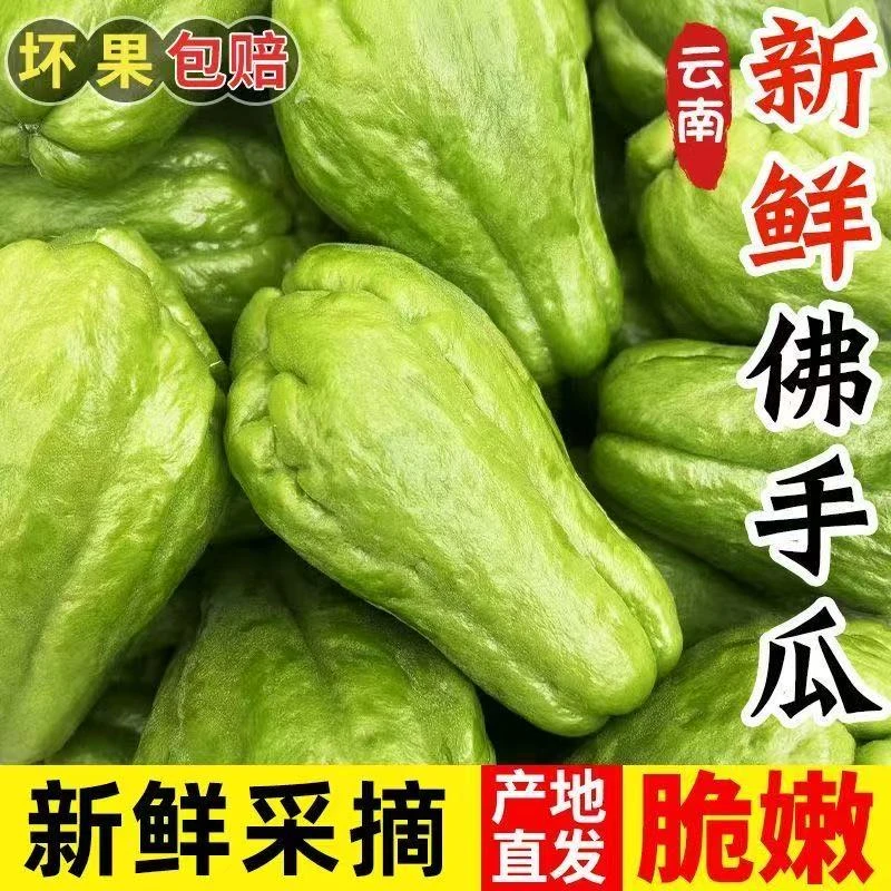 云南高山现摘清甜多汁新鲜佛手瓜洋丝瓜当季蔬菜