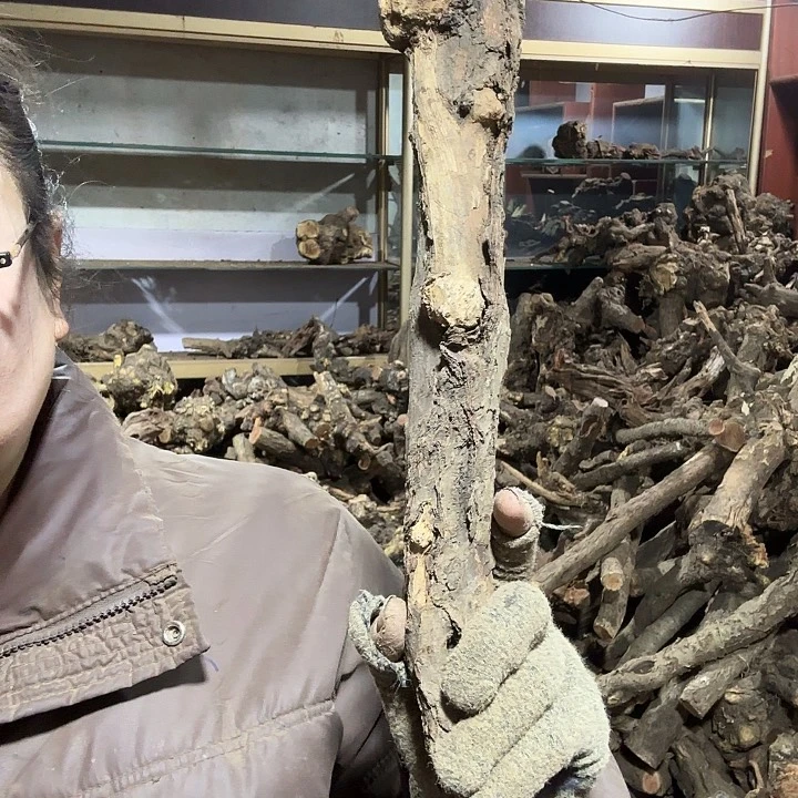 香榧木星*火琉璃的故事毛料摆件