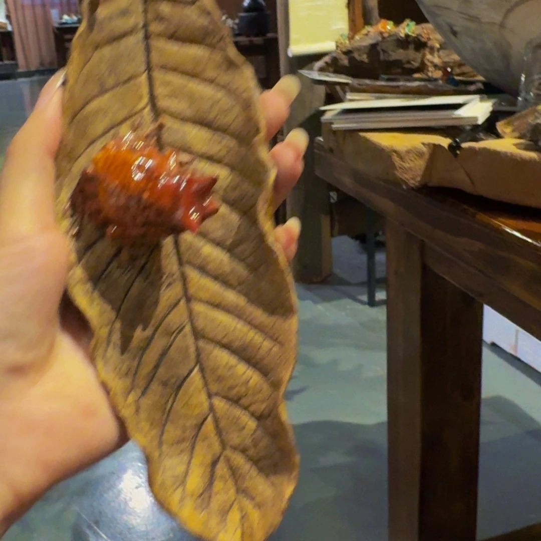 尘***园哥哥哥哥哥哥哥哥