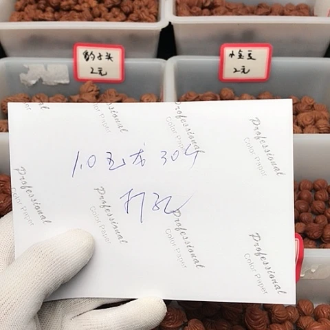 桃核吊坠小*哥龙纹桃核的搭配