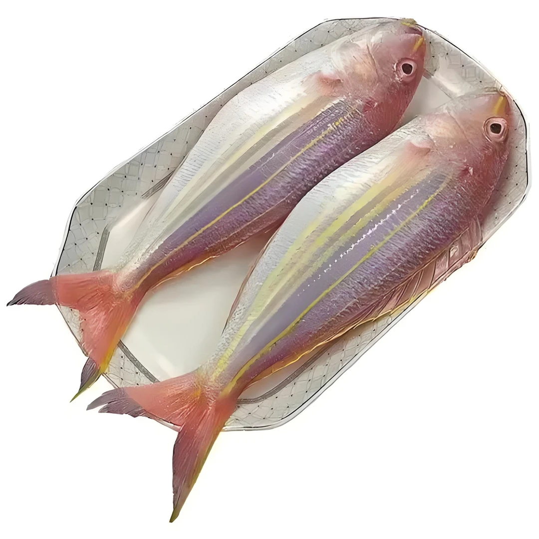 本港新鲜金丝鱼 金线鱼 一斤2条