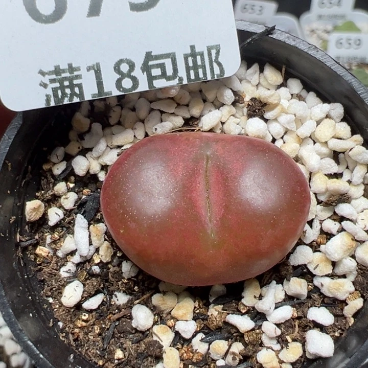 【闪购商品】679……