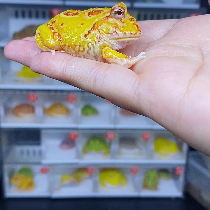 特价秒杀特价原价