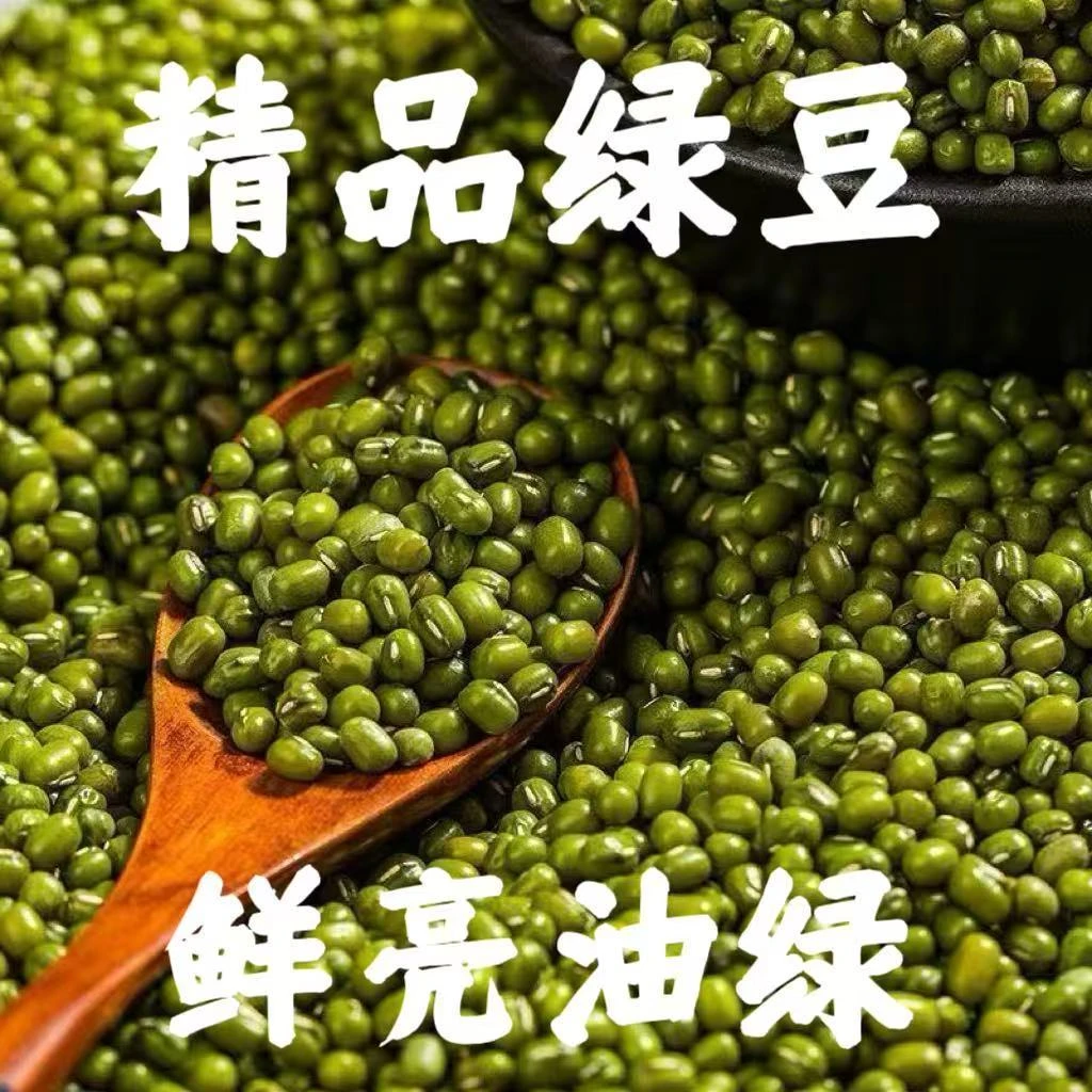 2025新绿豆农家种植绿豆5斤