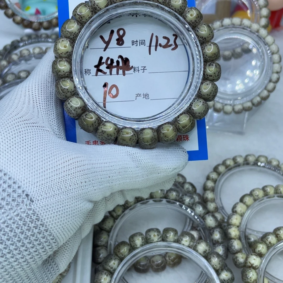 菩提籽类Y8大牛眼00