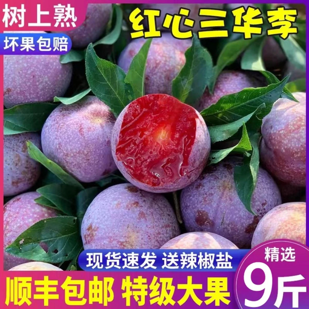 信宜钱排三华李新鲜水果红心李子当季孕妇酸脆前排非广西包邮5斤