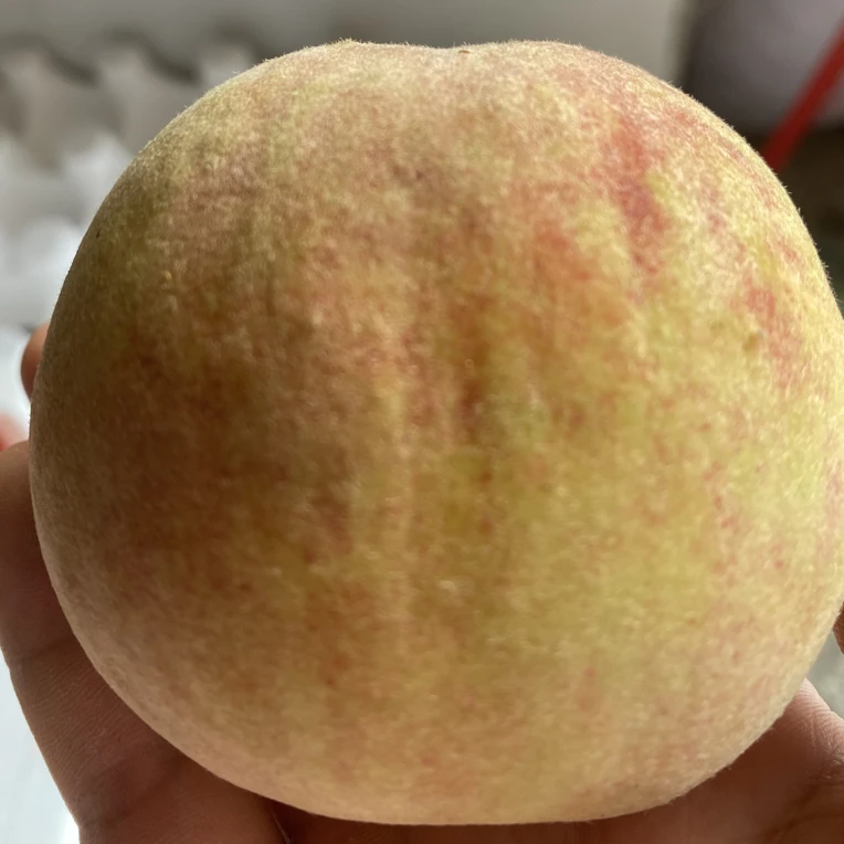 自己家的纯羊粪毛桃净重5.5斤10-12枚装顺丰包邮