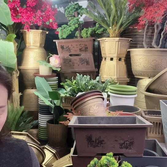 红陶盆景制作方法