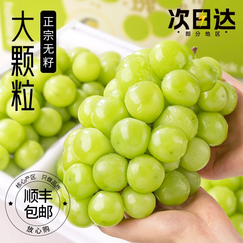 阳光玫瑰葡萄新鲜青提子晴王无籽香印葡萄当季整箱水果顺丰