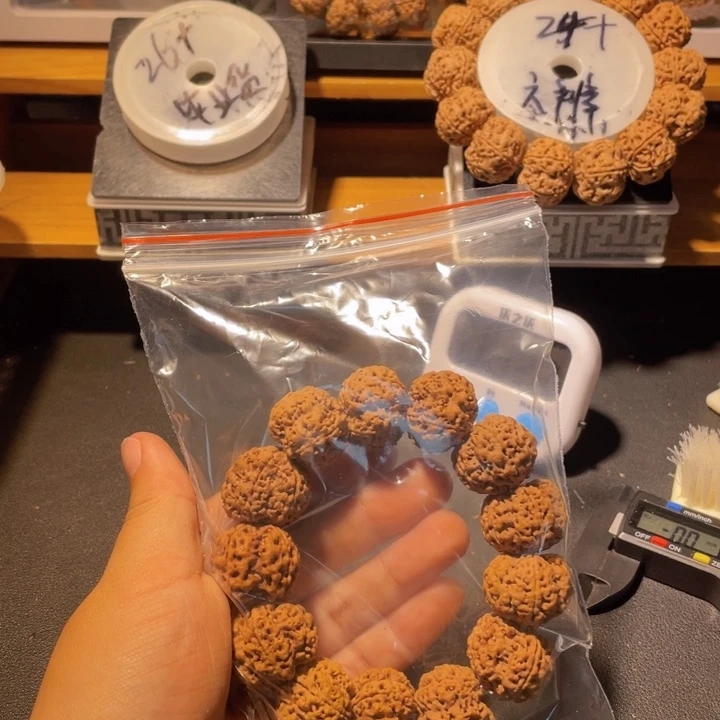 @****金刚菩提手串这个