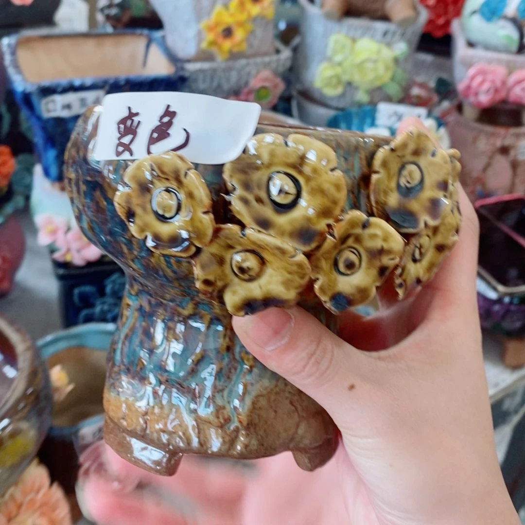 红陶福利福利福利变色