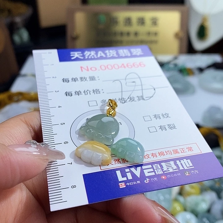 翡翠未镶嵌颈饰4666