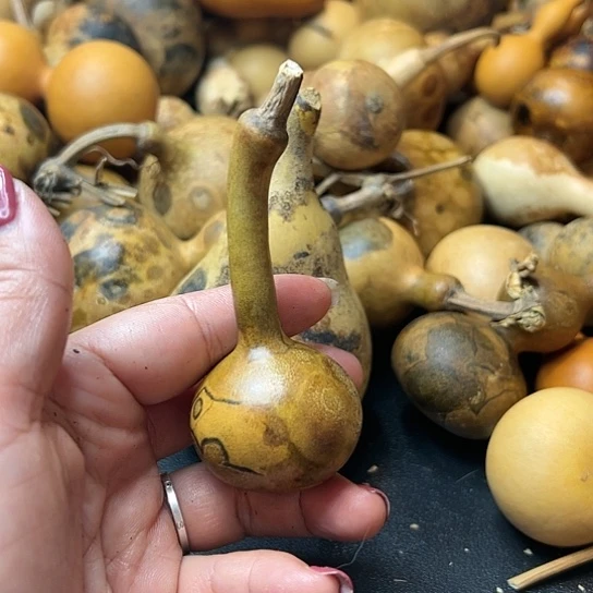 孙****?葫芦葫芦葫芦葫芦