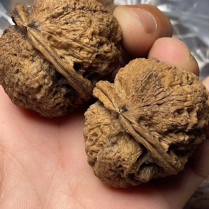 把件文玩核桃云南铁核桃28