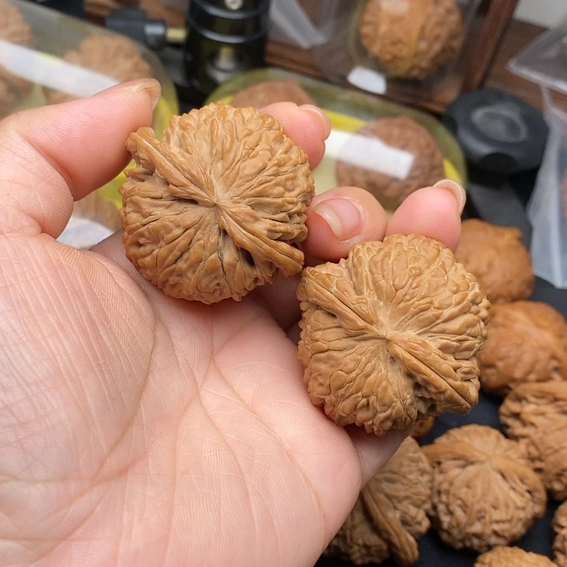 【闪购商品】桃核把件白狮子头45微修