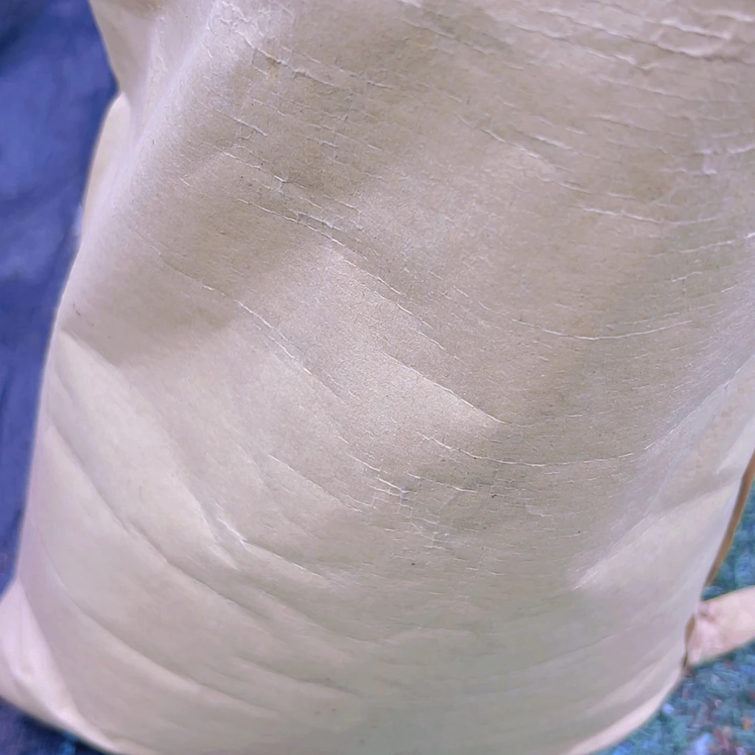 【闪购商品】九尾狐法师多肉