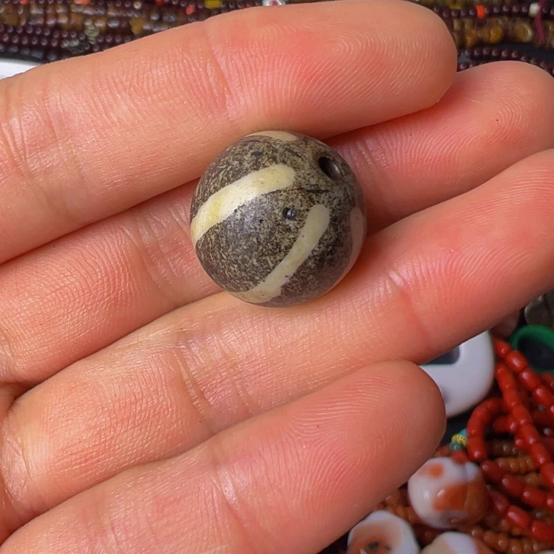 大果紫檀（缅甸花梨）胶****。