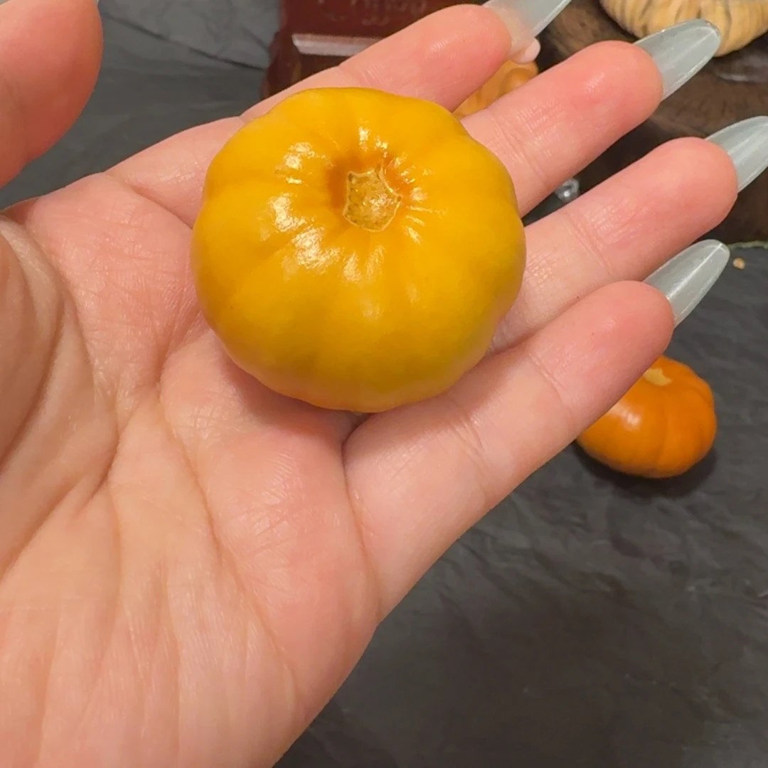 脆***腿墨西哥葫芦双色花饼子