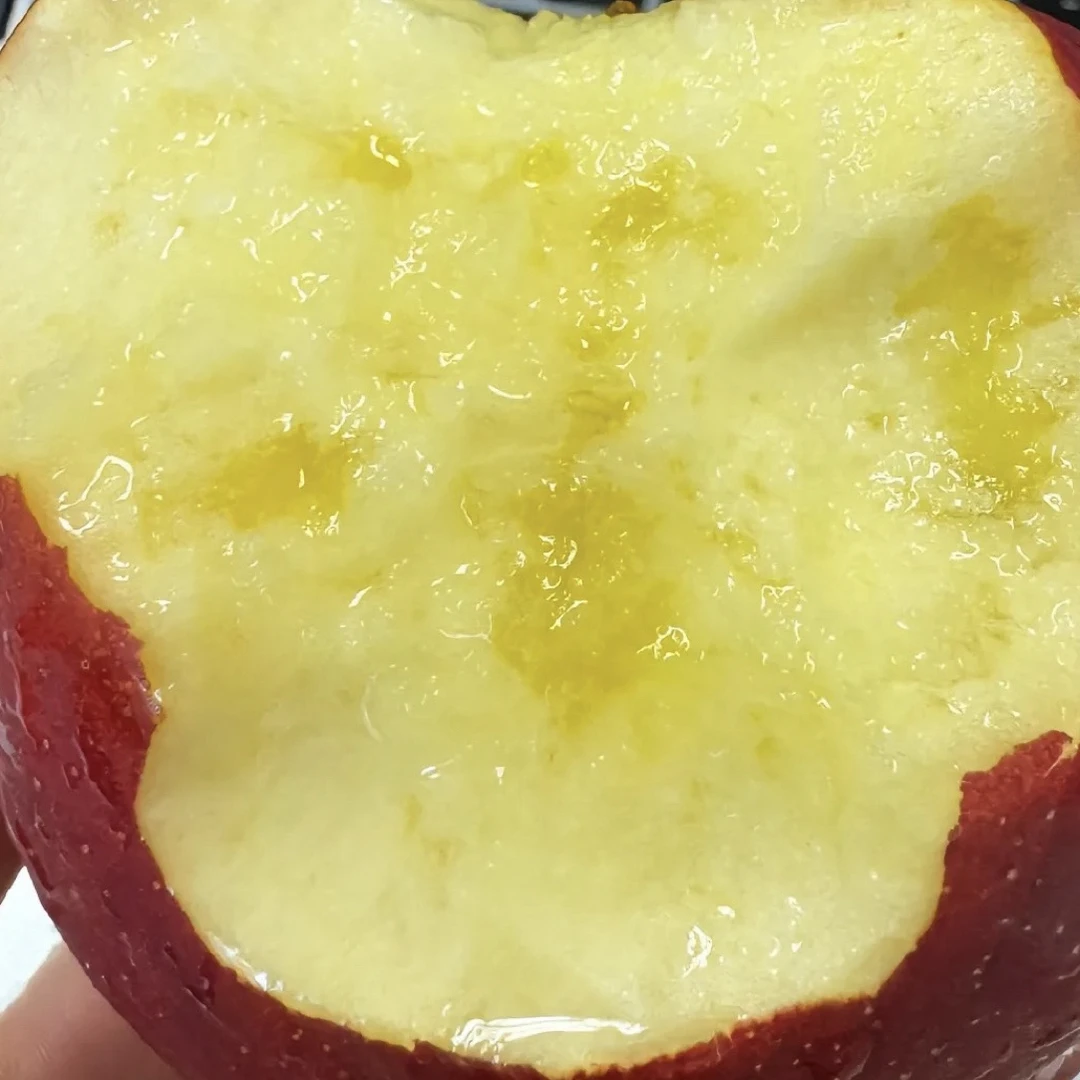 云南昭通冰糖心丑苹果高原苹果现摘现发脆甜多汁当季新鲜水果