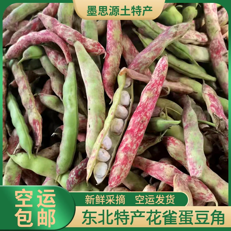 东北特产花雀蛋豆角鼓豆现摘豆大饱满软烂易熟2/3/5斤空运包邮
