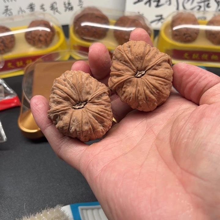 核桃43南瓜编号105