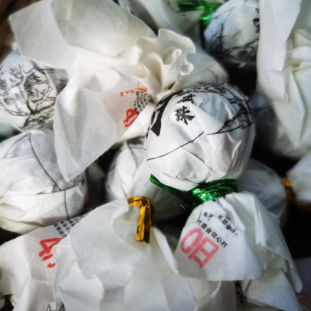 【支书严选1】2025李古树龙珠 云南普洱茶