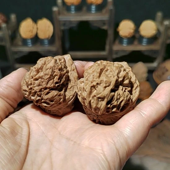 把件文玩核桃化石开背蛙41尺