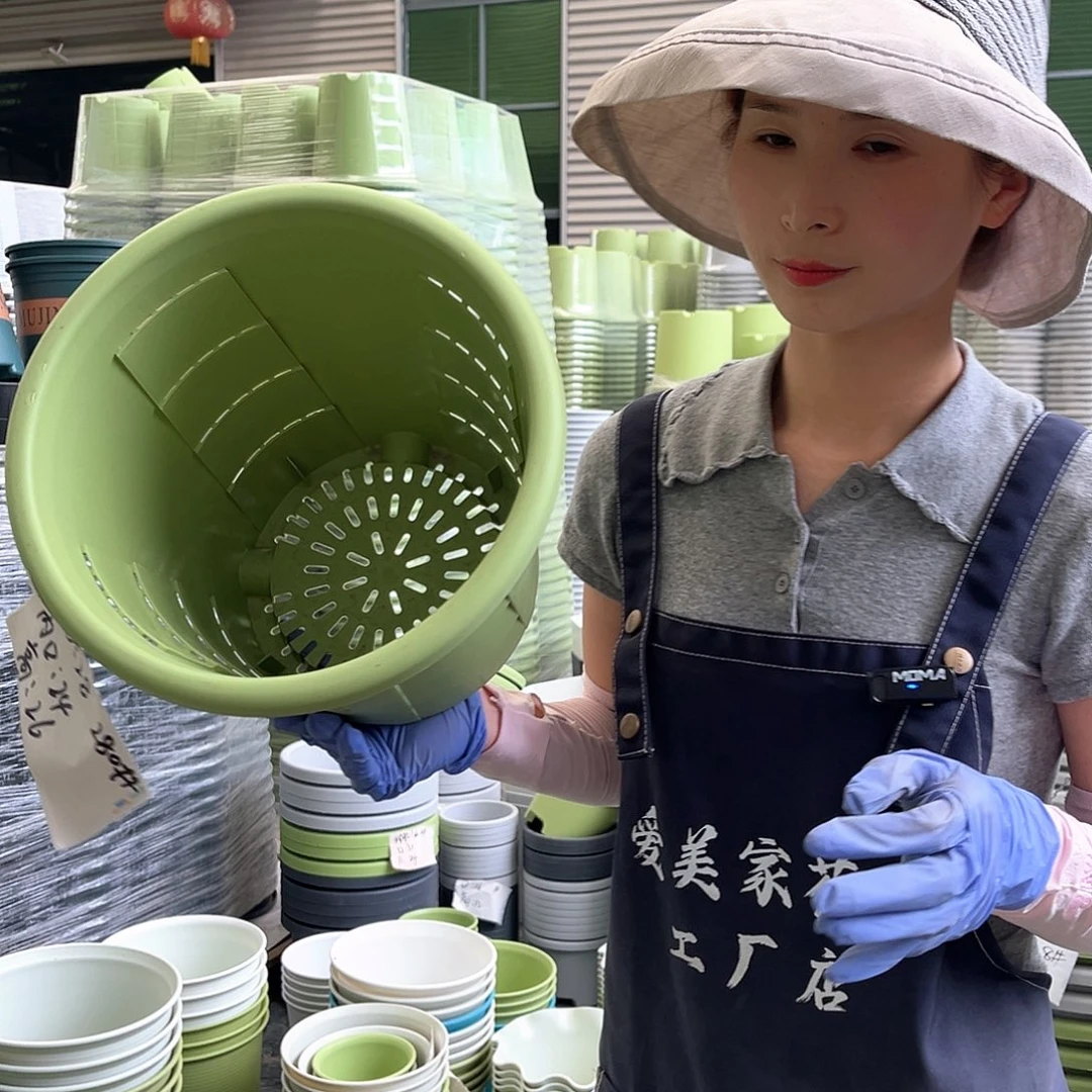 玫瑰盆280#果绿色5个无托
