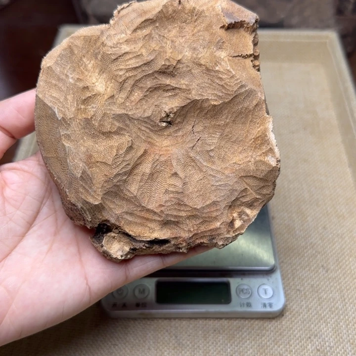 香榧木玩*黄油格黄油格