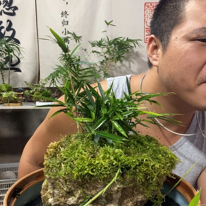 房***兰无花朵退款拉黑拉黑88