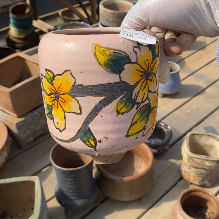 红陶小*儿49号多肉盆一个呀