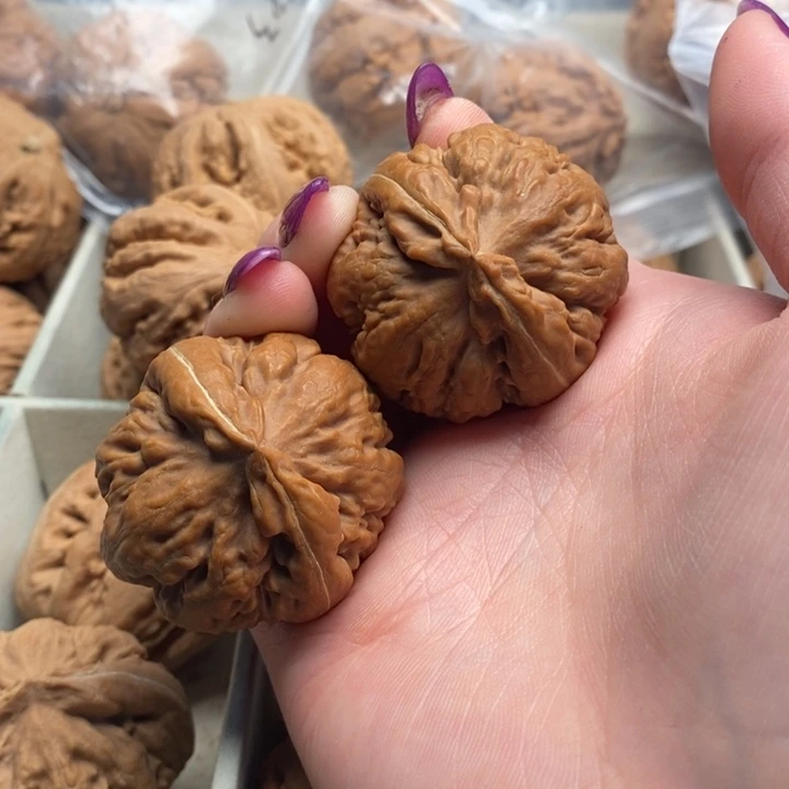 阿***币手串文玩核桃霸王龙