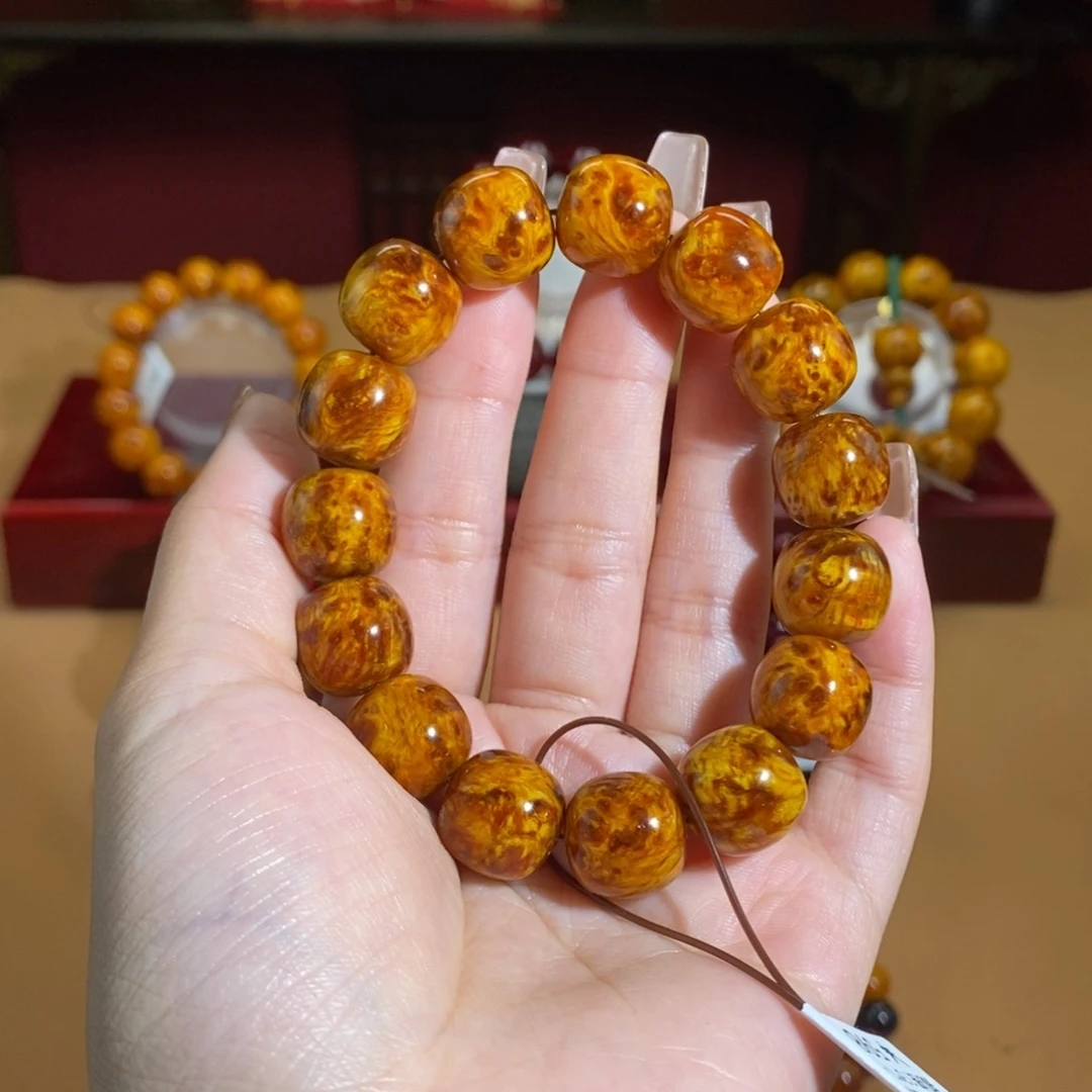 贝壳杉帝王血龙木1.3老型珠瘤疤高货