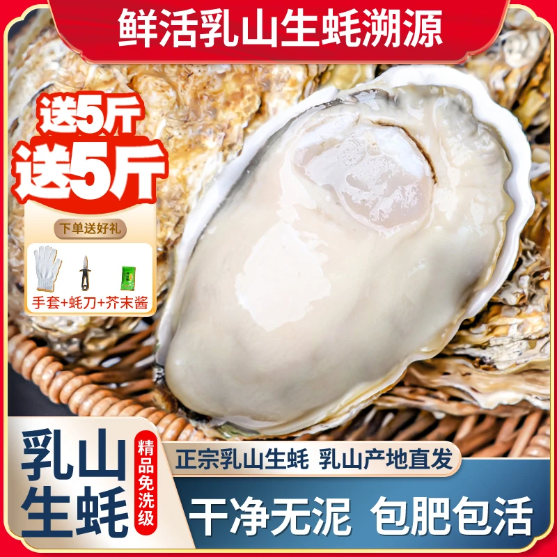 【帝王蚝7XL】正宗乳山生蚝牡蛎新鲜海蛎子原产地5斤送5斤精品级