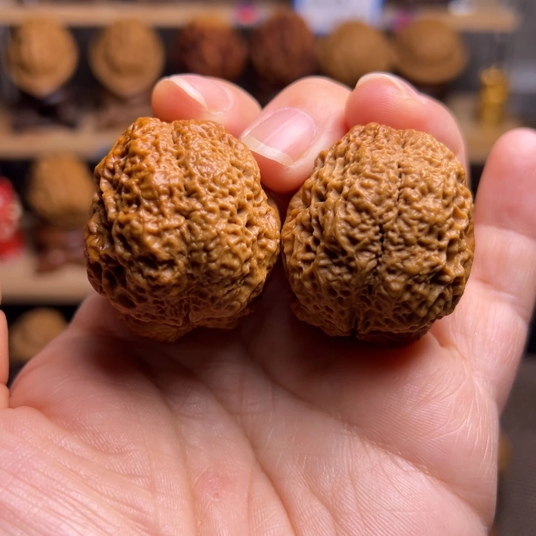 把件文玩核桃22w鱼子纹开背金蟾王39尺