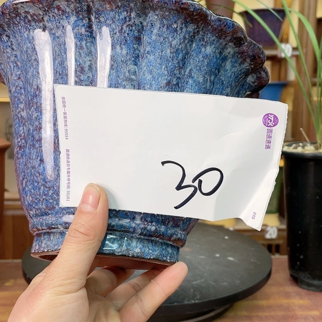 【闪购商品】紫砂花盆诺****窗兰花122544555555555588