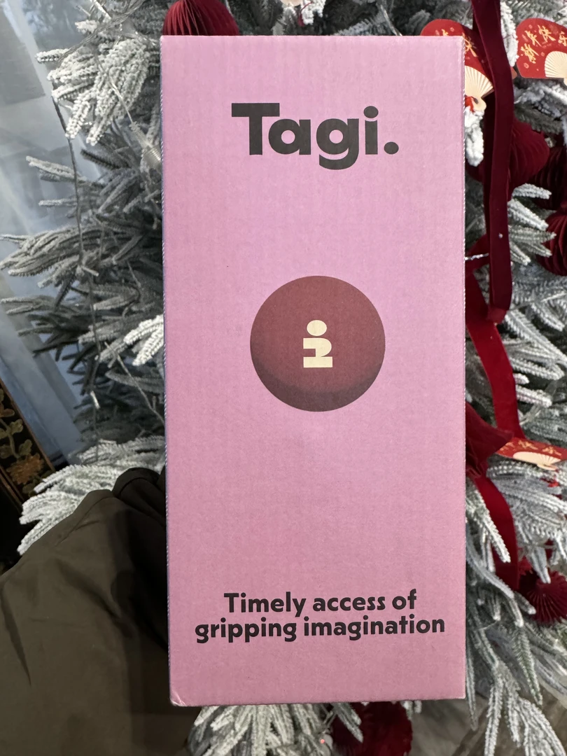 Tagi·便携mini首饰盒