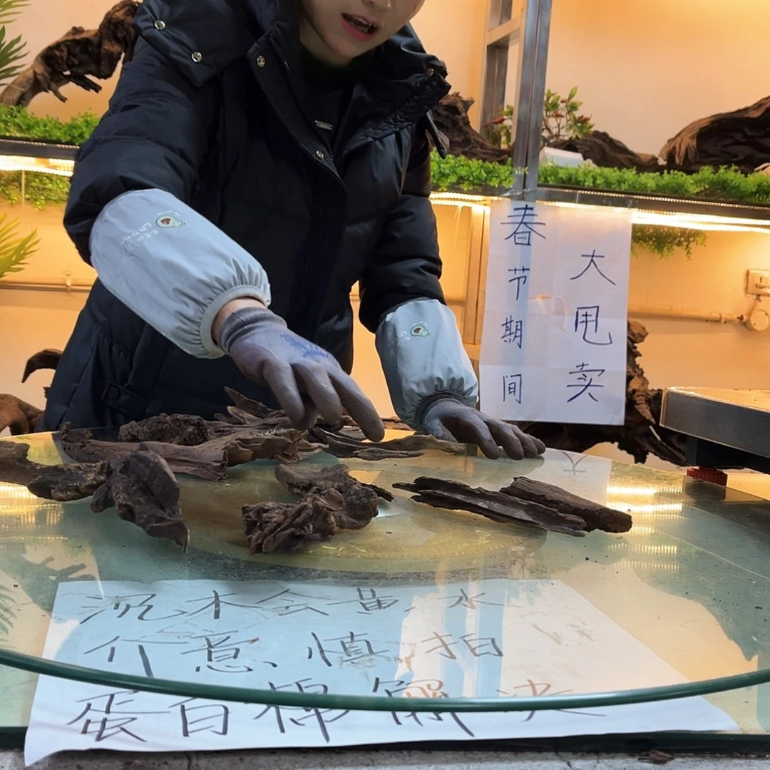 柚木沉木鱼缸造景