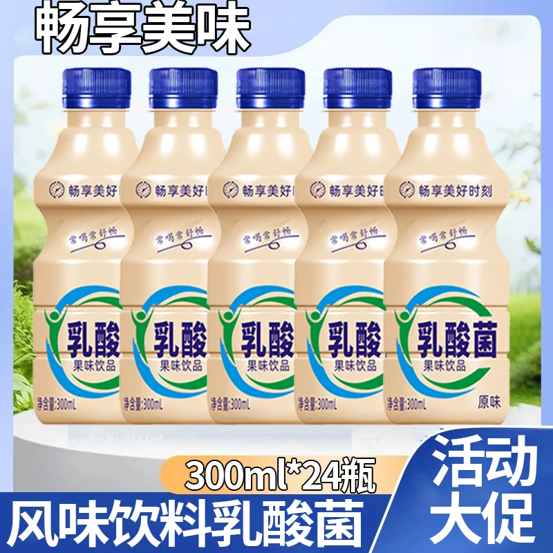 原味乳酸菌整箱24瓶300ml风味发酵无菌灌装儿童早餐含乳饮料