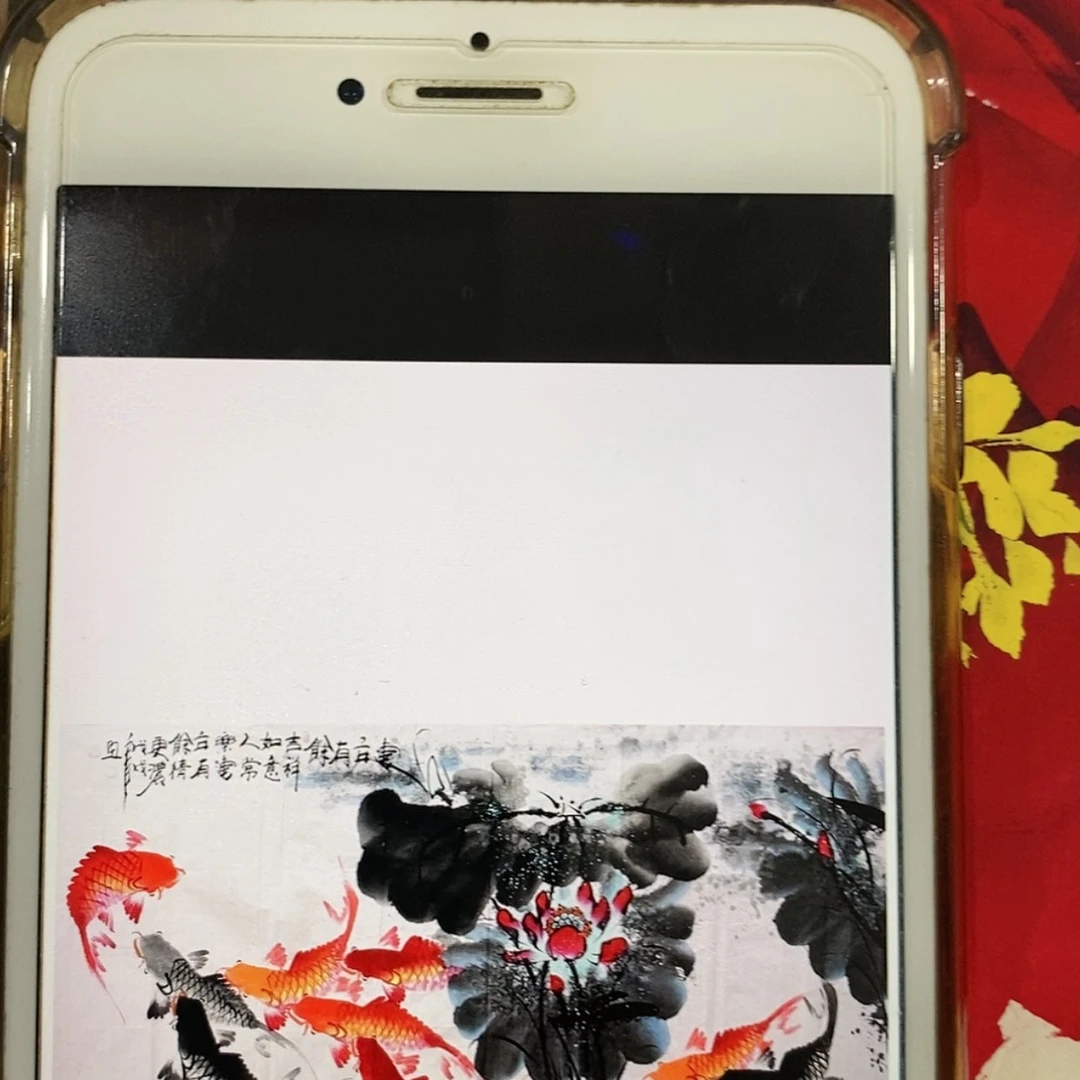 【闪购商品】国画画