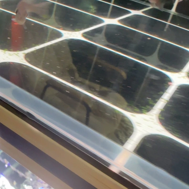 短鲷鱼斯维尼关刀4-5厘米3条