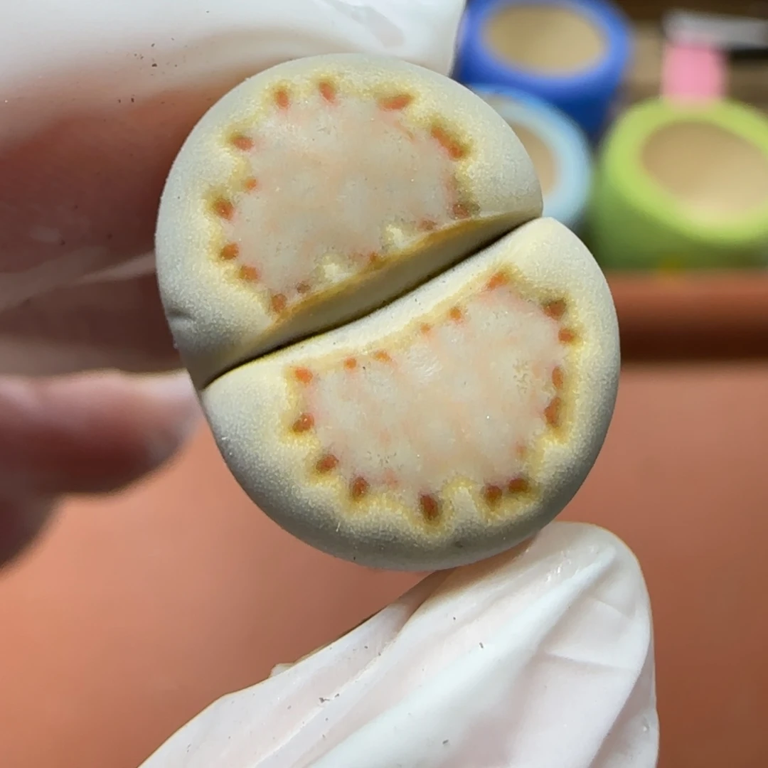 12.14.c24饼干.9037